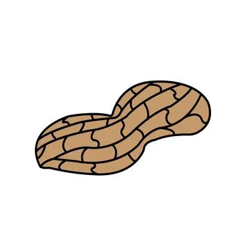 Peanut icon Stock Illustration