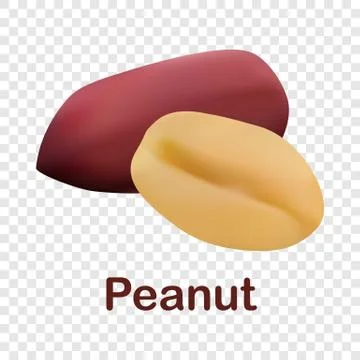 Peanut icon, realistic style Stock Illustration