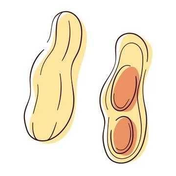 Peanut icon set in line and color art style. Design for peanut butter package Illustrazione stock