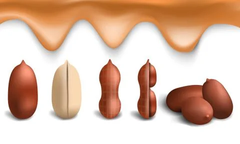 Peanut icon set, realistic style Stock Illustration