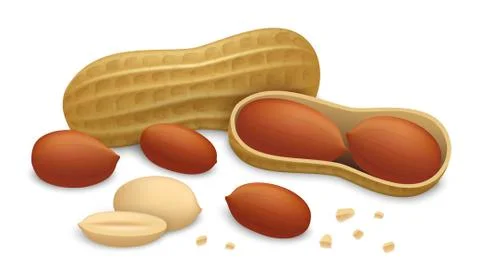 Peanut icon set, realistic style Stock Illustration