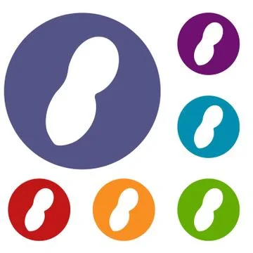 Peanut icons set Illustrazione stock