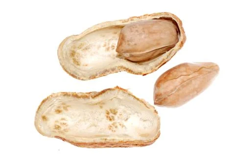 Peanut isolated Stock Photos