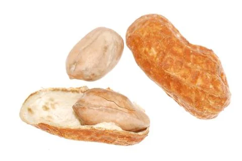 Peanut isolated Foto stock