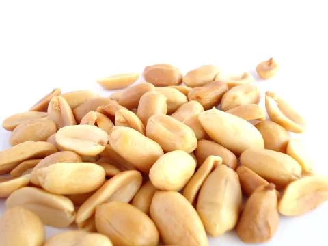 Peanut isolated Stock Photos