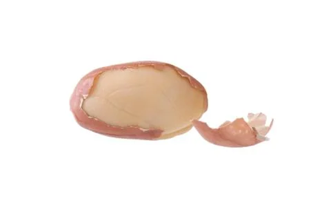 Peanut isolated shots in studio on a white background Stock Photos