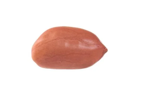 Peanut isolated shots in studio on a white background Stock Photos