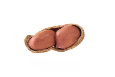 Peanut isolated shots in studio on a white background Stock Photos