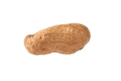 Peanut isolated shots in studio on a white background Stock Photos