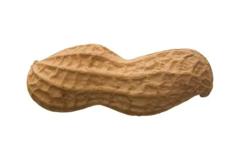 Peanut isolated on white background Stock Photos
