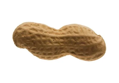 Peanut isolated on white background Stock Photos