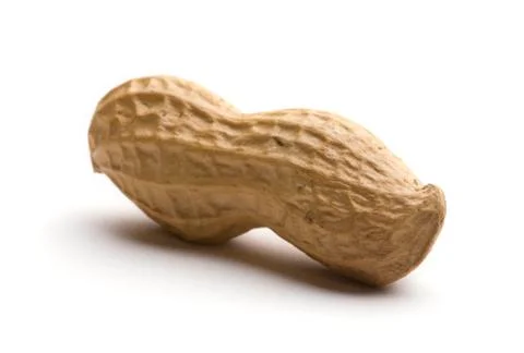 Peanut isolated on white background Stock Photos
