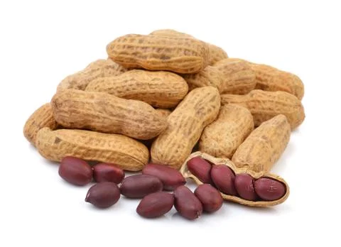 Peanut isolated on a white background Stock Photos