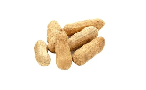 Peanut isolated on white background Stock Photos