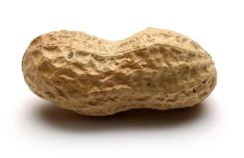 Peanut isolated on white background Stock Photos