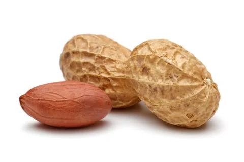 Peanut isolated on white background Stock Photos