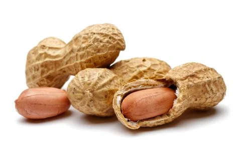 Peanut isolated on white background Stock Photos