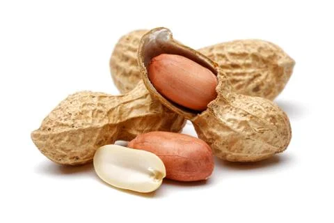 Peanut isolated on white background Stock Photos