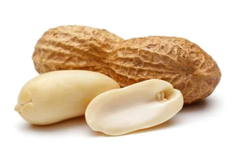 Peanut isolated on white background Stock Photos