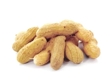 Peanut isolated on white background Stock Photos