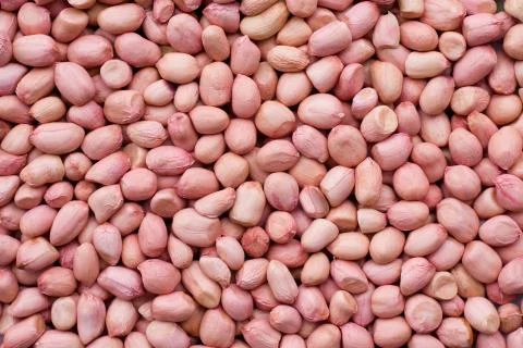 Peanut kernel background Foto stock