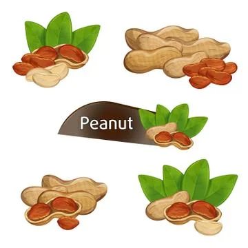 Peanut kernel in nutshell with leaves set Stock Illustration