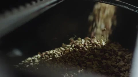 Peanut kernels Stock Footage 296603718