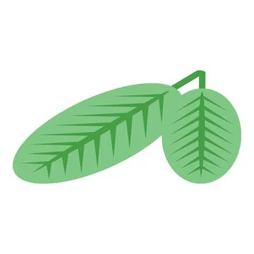 Peanut leafs icon, isometric style Stock Illustration