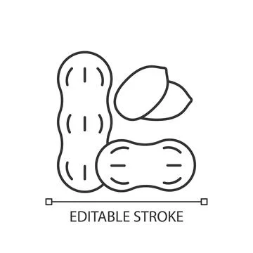 Peanut linear icon Stock Illustration