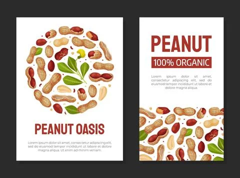 Peanut Natural Banner Design with Kernel Shell Vector Template Stock Illustration