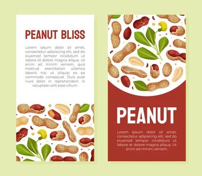 Peanut Natural Banner Design with Kernel Shell Vector Template Stock Illustration