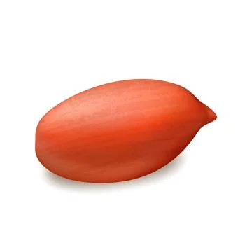 Peanut Nut Kernel Vitamin Natural Snack Vector Stock Illustration