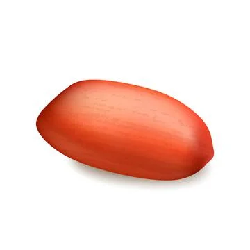 Peanut Nut Kernel Vitamin Natural Food Vector Stock Illustration