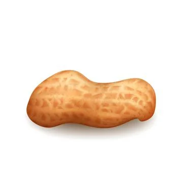 Peanut Nut In Shell Natural Nourishment Vector Illustrazione stock
