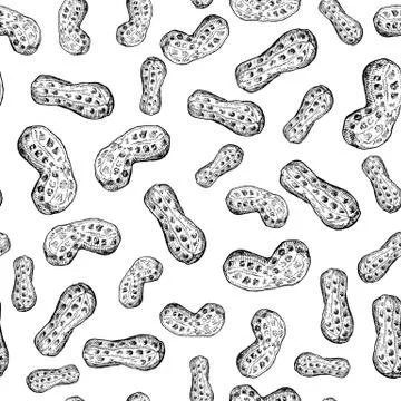 Peanut nut vector seamless pattern. Hand drawn background. Food ingredient sk Stock Illustration