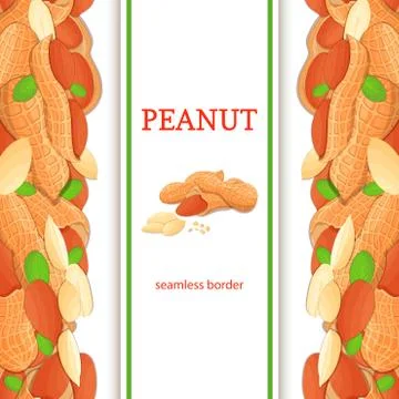 Peanut nut vertical seamless border. Vector illustration 스톡 일러스트