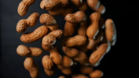 Peanut nuts fly up and freeze in the air in slow motion. Macro Stock Footage 109154085