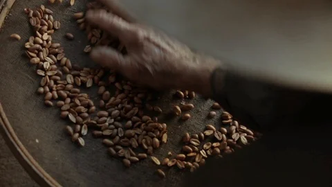 Peanut or coffee grains Stock Footage 94225939