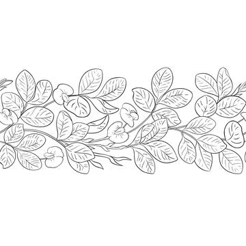 Peanut Outline Horizontal Seamless Pattern. Stock Illustration