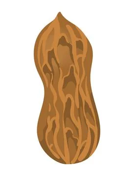 Peanut with peel Stock Illustration