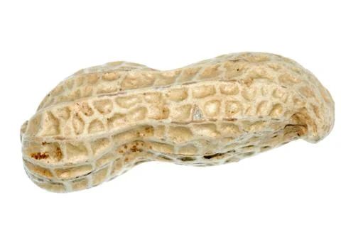 Peanut Stock Photos