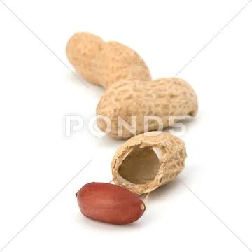 Peanut Stock Photos