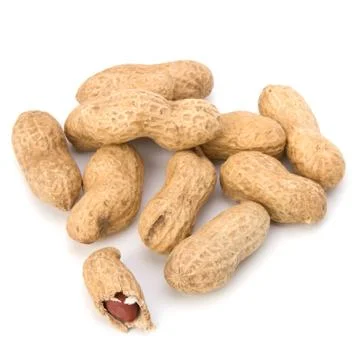 Peanut Stock Photos