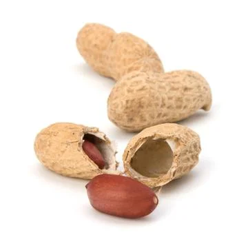 Peanut Stock Photos