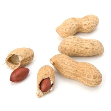 Peanut Stock Photos