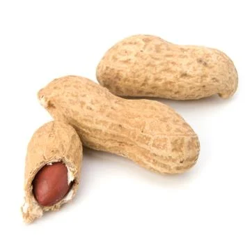 Peanut Stock Photos