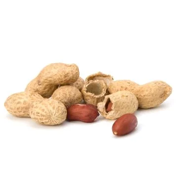 Peanut Stock Photos
