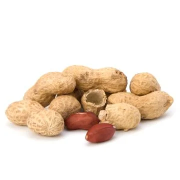 Peanut Stock Photos