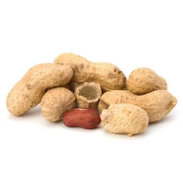 Peanut Stock Photos