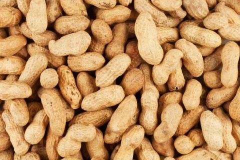 Peanut Stock Photos